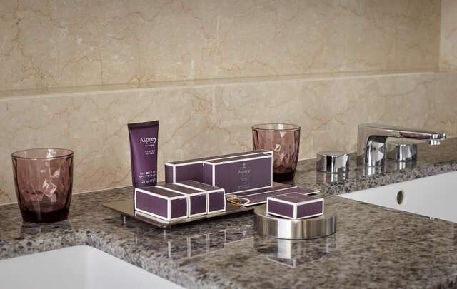 Отель The Ritz-Carlton Нур-Султан-34
