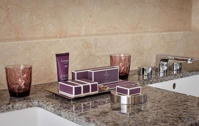 Отель The Ritz-Carlton Нур-Султан-52